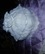 Фарфоровая шкатулка Белые розы 2 от автора  от Lladro и других бренды 2