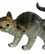 Фарфоровая статуэтка кота или кошечки от автора  от Andrea Sadek 2