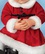 Сладкая девочка Санта от автора Waltraud Hanl от Ashton-Drake 3