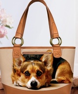 Подарок для собаковода, сумки с собаками - Сумка Корги