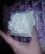 Фарфоровая шкатулка Белые розы 2 от автора  от Capodimonte 3