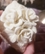 Фарфоровая шкатулка Белые розы 2 от автора  от Capodimonte 4