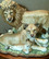Львы. Семья львов от автора  от Andrea Sadek 1
